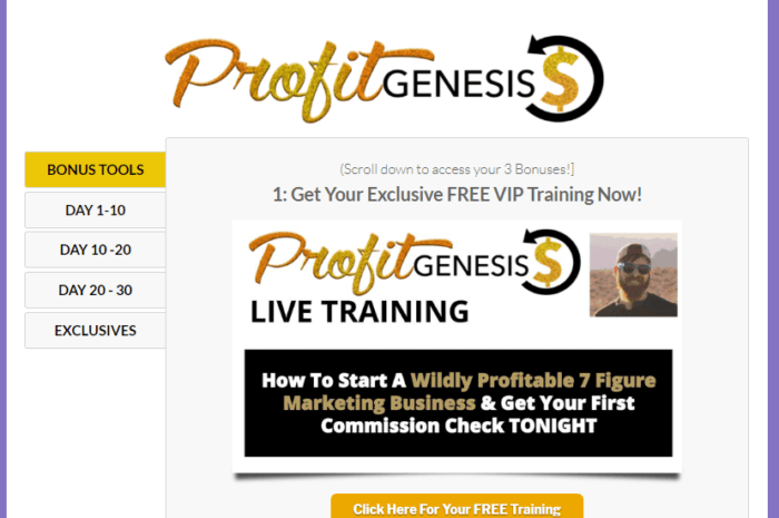 Automated Affiliate Marketing System: Auto webinar Funnel